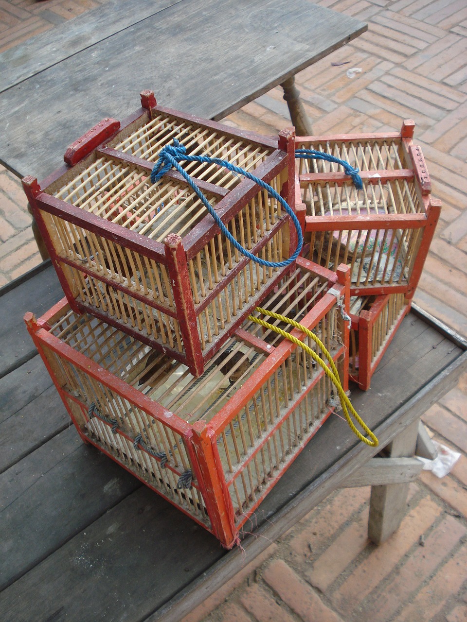 cages, birds, bird-208814.jpg