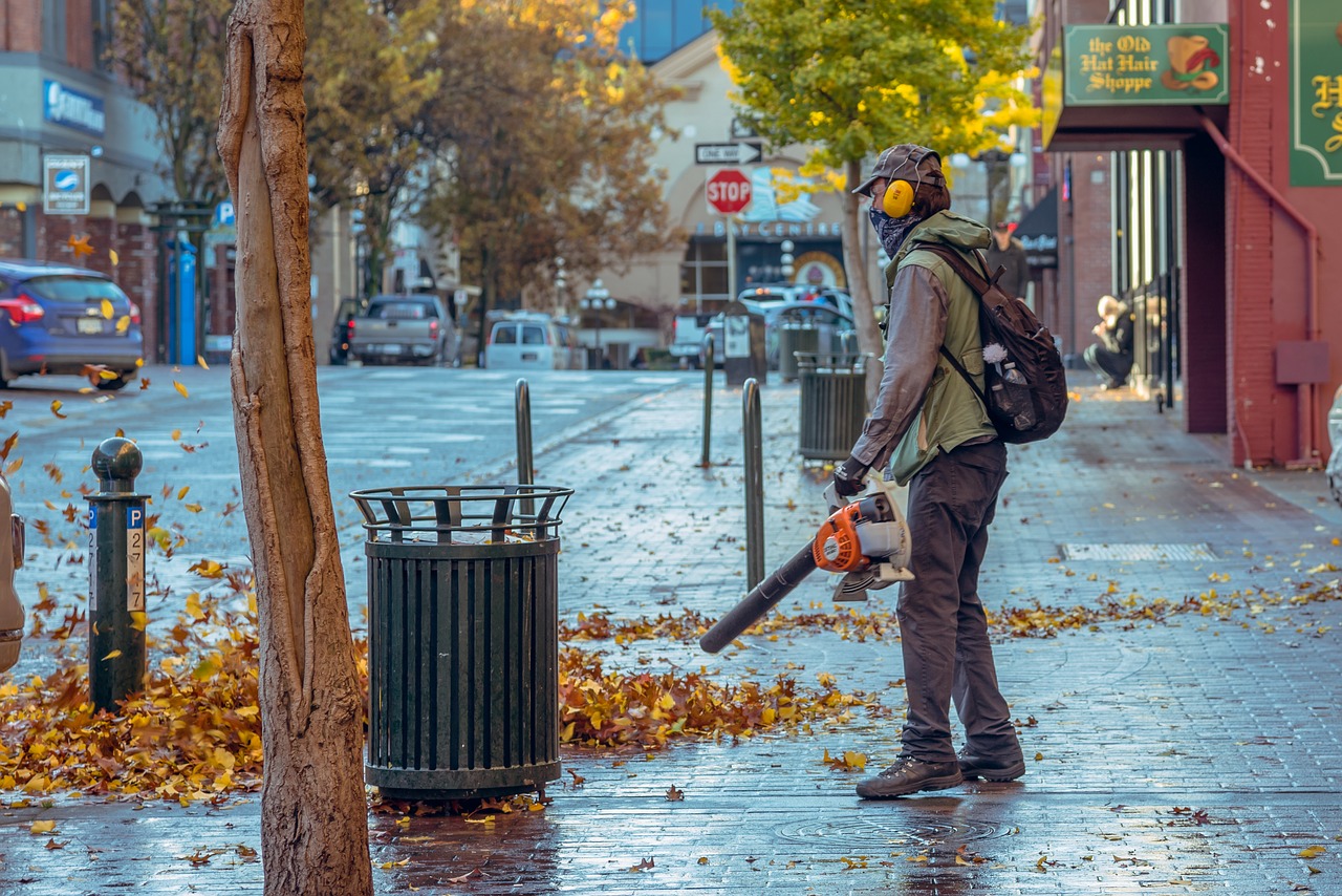 costco snow blower,fall, blowing street, leaves-3829152.jpg